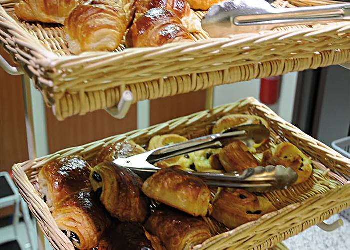 Hotel Mulhouse Sausheim